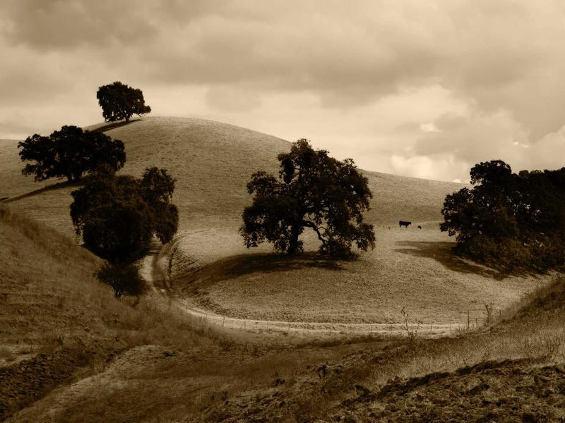 sudoku friend challenge screenshot 4