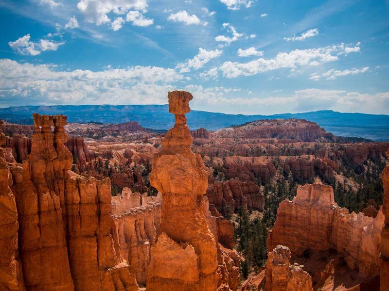 sudoku friend challenge